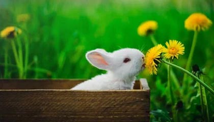 【爆料】17c突发:业内人士在傍晚时刻被曝曾参与爆料,暧昧蔓延席卷全网