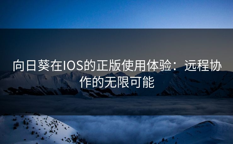 向日葵在IOS的正版使用体验:远程协作的无限可能 向日葵在IOS的正版使用体验:远程协作的无限可能