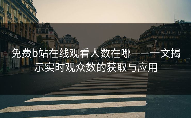 免费b站在线观看人数在哪——一文揭示实时观众数的获取与应用